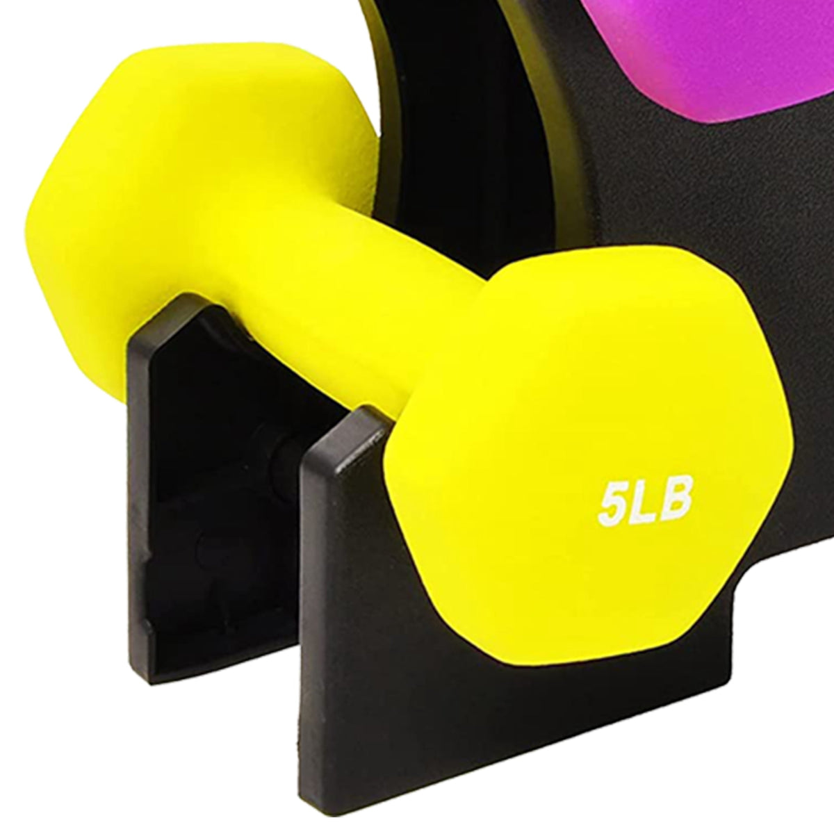 20 Lb Neoprene Coated Iron Dumbbell Hex Weights Set with Stand, Color-Coded